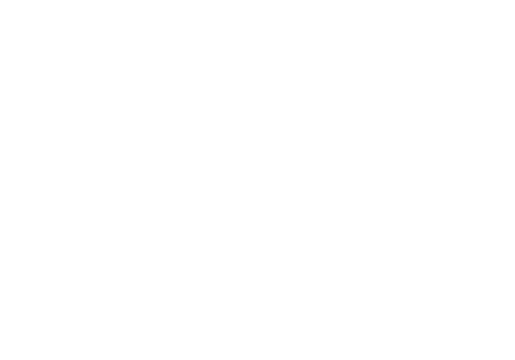 White Rabbit Marketing